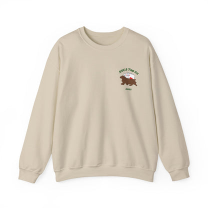 2025 SSCA Top 25 Sweatshirt