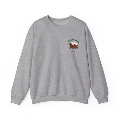 2025 SSCA Top 25 Sweatshirt