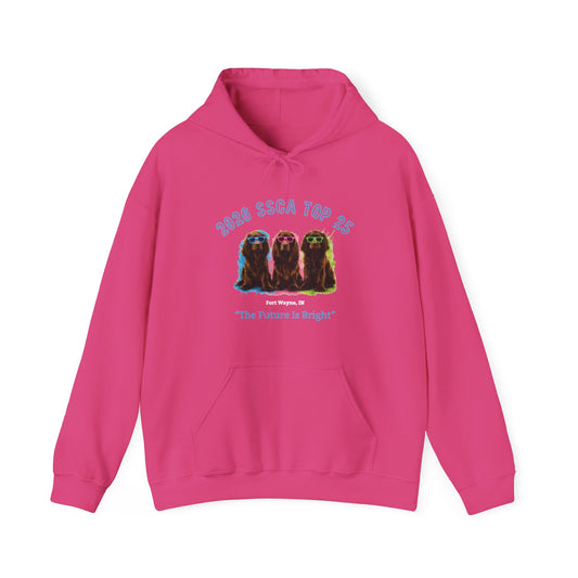 SSCA Top 25 Hooded Sweatshirt Front Only